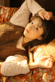 夜之蝶